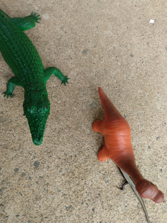 LIZARD HIDING UNDER SONNY