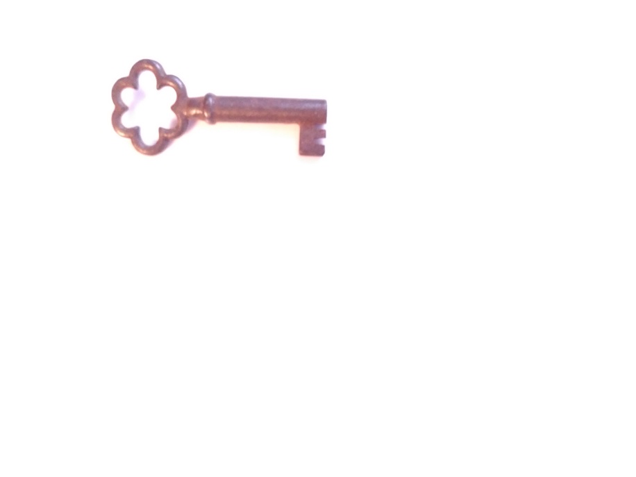 SKELETON KEY