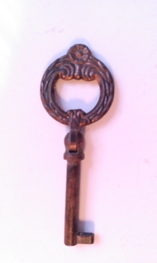 FOLDABLE SKELETON KEY