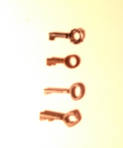 SKELETON KEYS