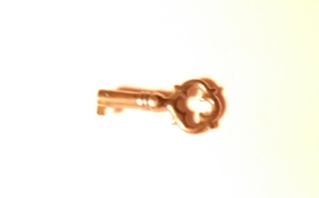 SKELETON KEYS