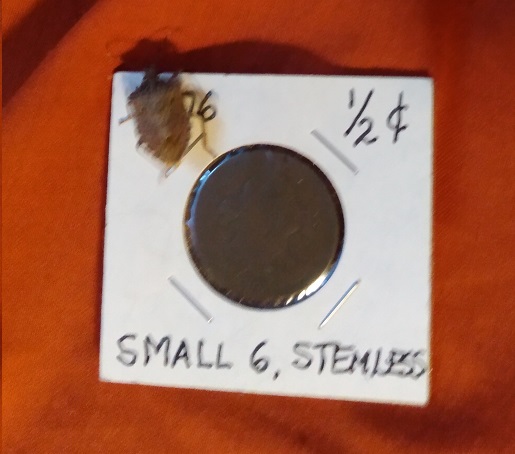 BUG CRAWLING ON THE HALF PENNY