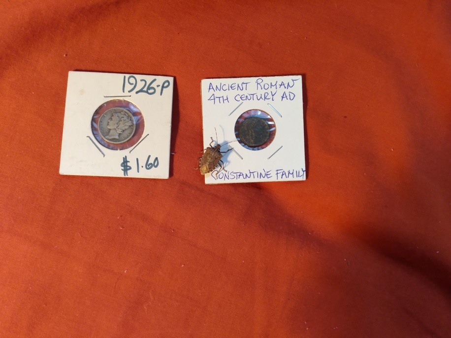 CHOOSING ROMAN COIN OVER MERCURY DIME