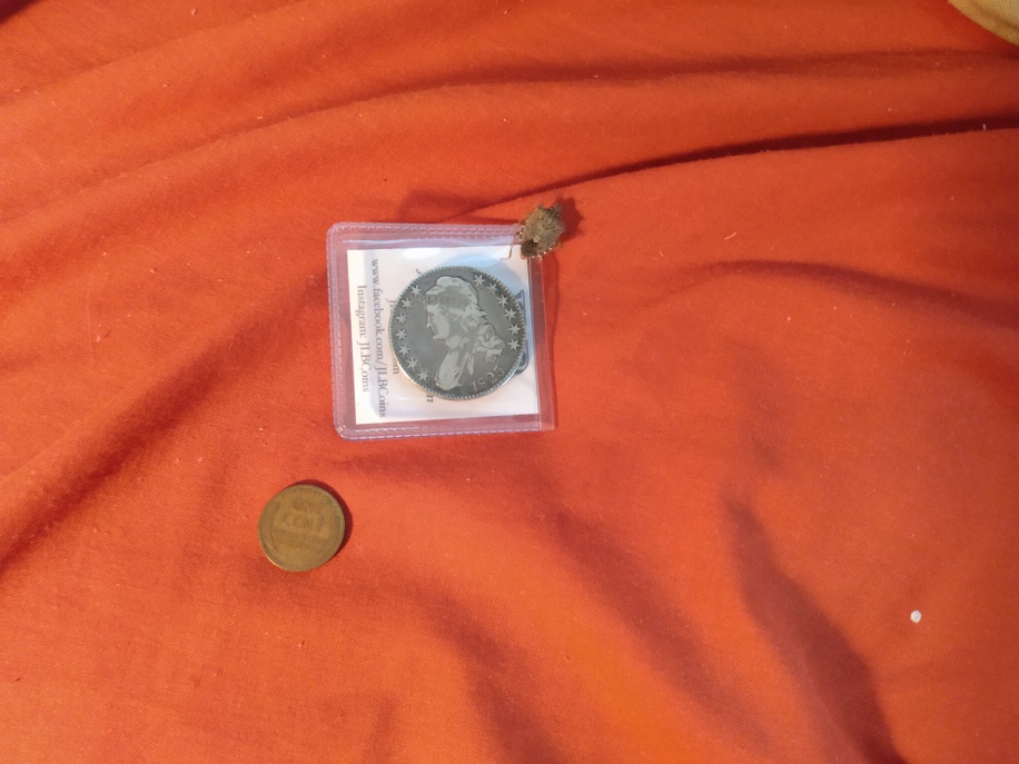 ON A BUST HALF DOLLAR