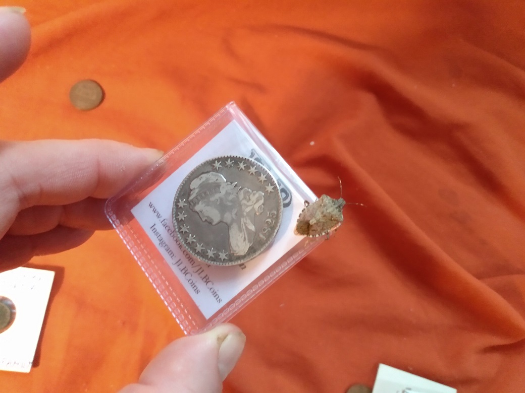 ON A BUST HALF DOLLAR