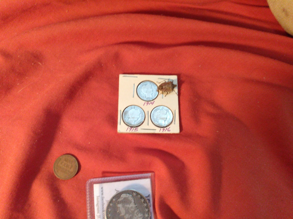 DONE WITH THE BARBER DIMES