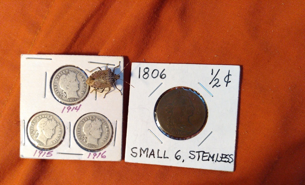 SWITCHING BACK TO THE HALF CENT