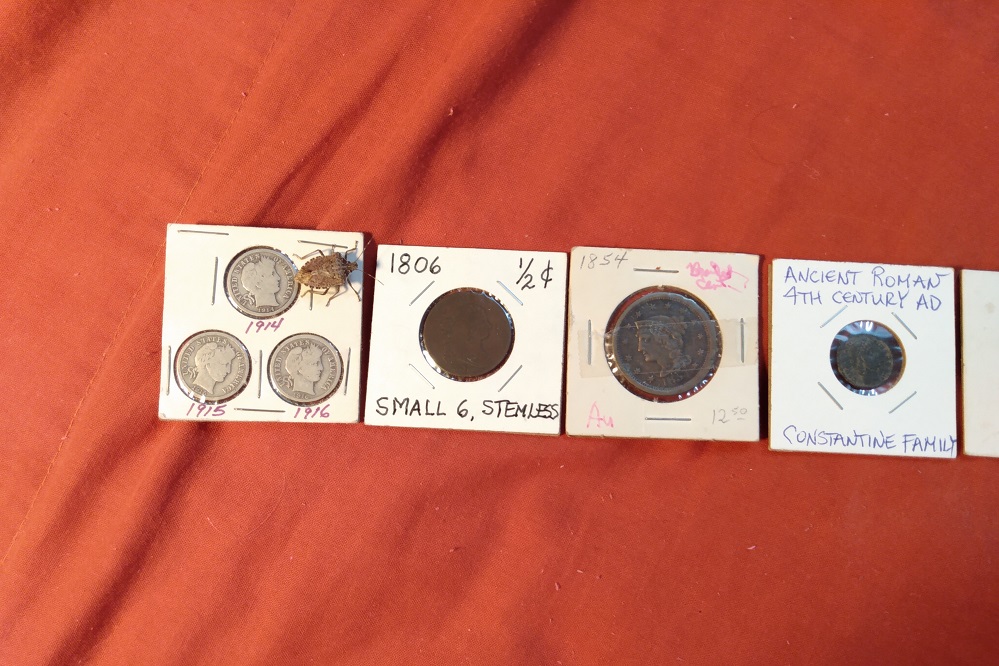 CROSSING THE COIN BRIDGE