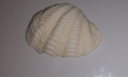 SHELL