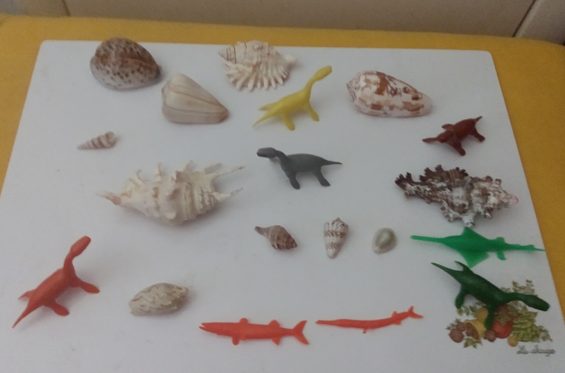 SHELLS AND FISH