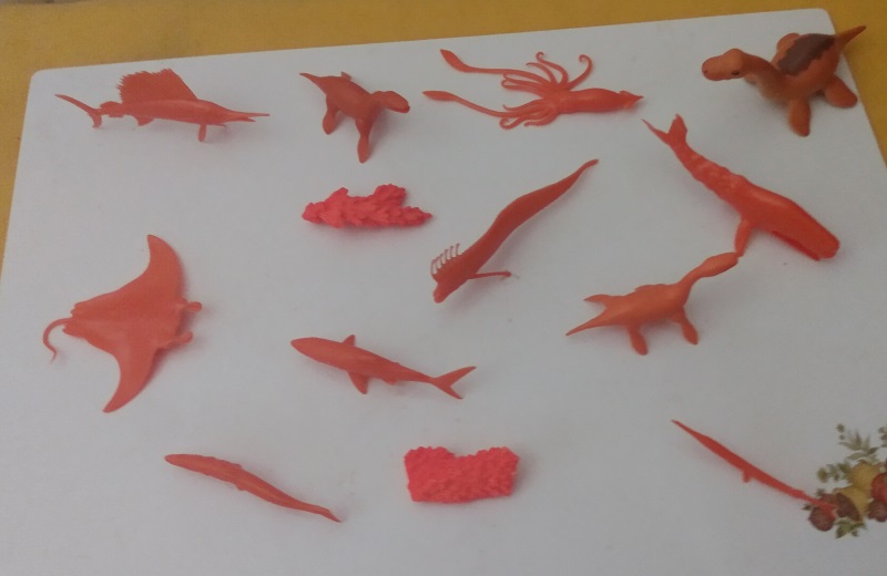 CORAL AND ORANGE FISH