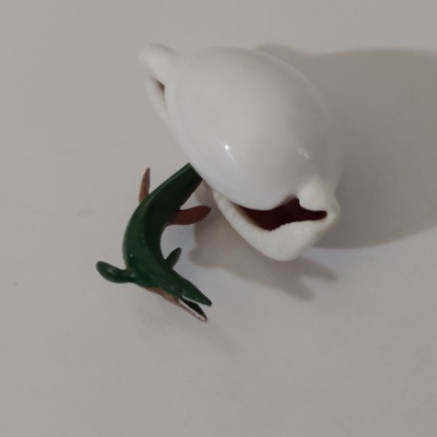 FISH LIVING IN AN OLD SHELL