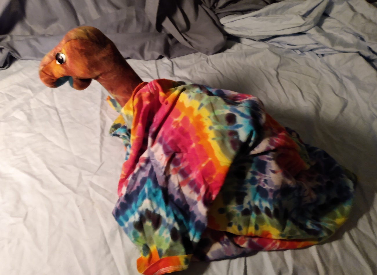 TIE WEARING TYE DYE SHIRT