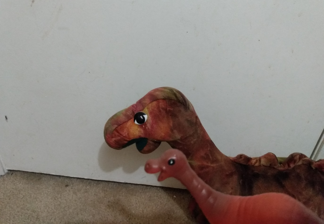 TIE AND SONNY STARING AT A BUG - PICTURE TAKEN BY ANOTHER BUG.